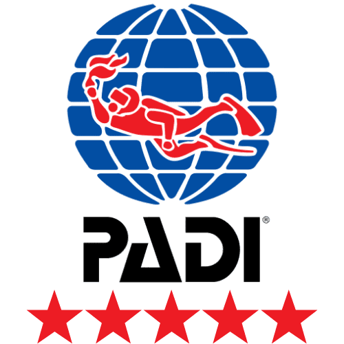PADI 5 Star Dive Centre