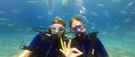 Discover Scuba