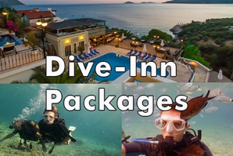 Dive-Inn Packages