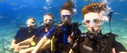 PADI Scuba Diver