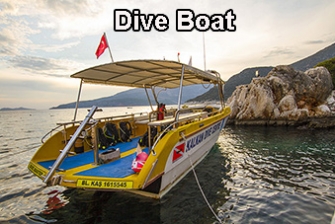 Dive Boat 