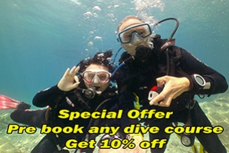 Special Offer 2